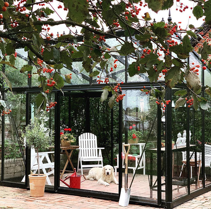 Modern Glass Greenhouse (3 Sizes)