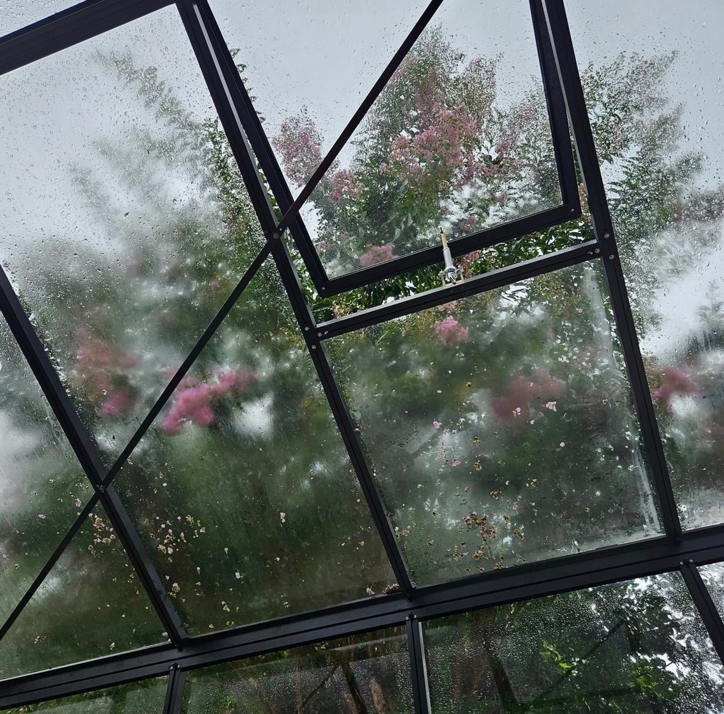 Extra Roof Window