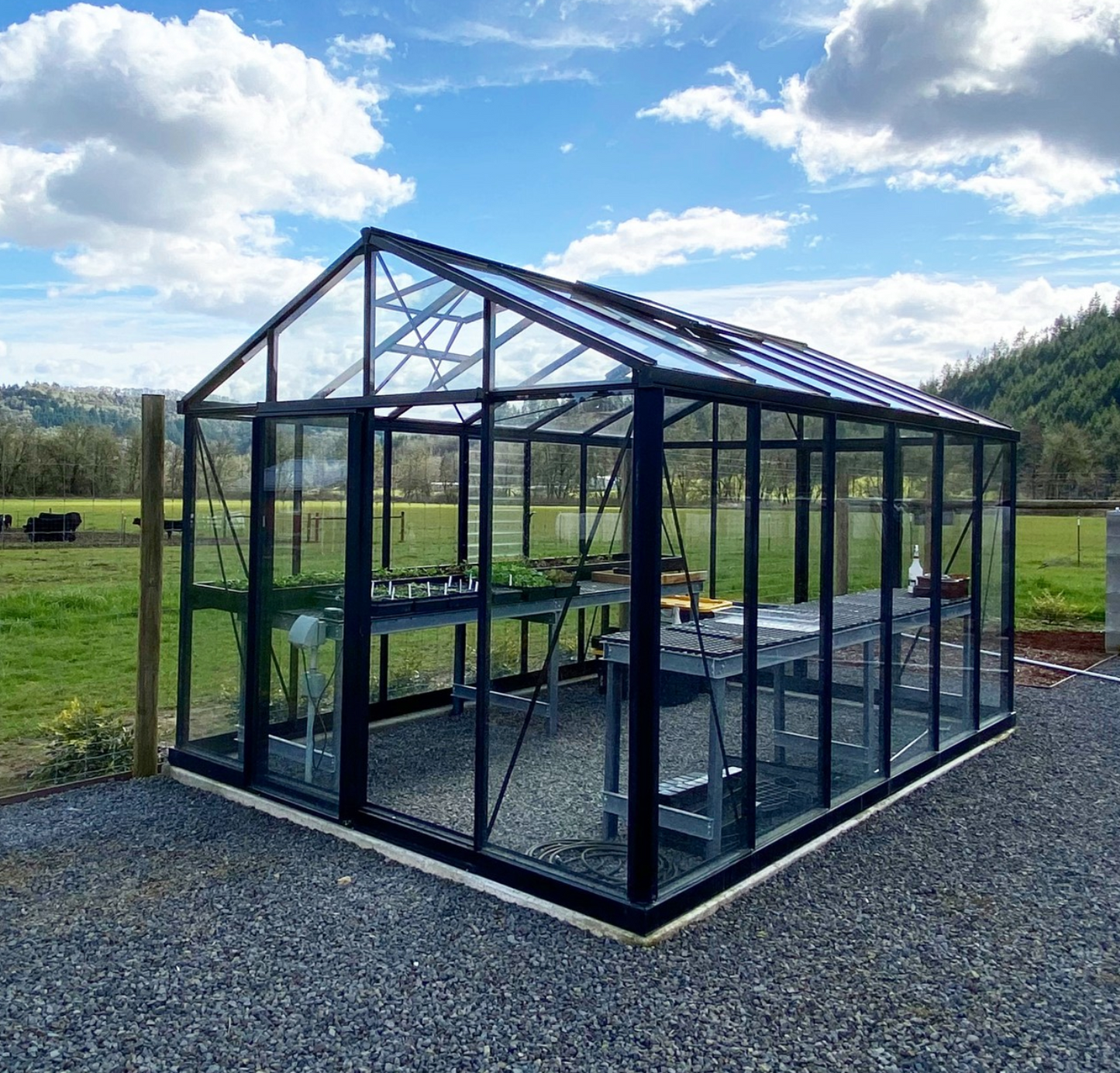 10'x15' Royal Victorian Glass Greenhouse (VI34)