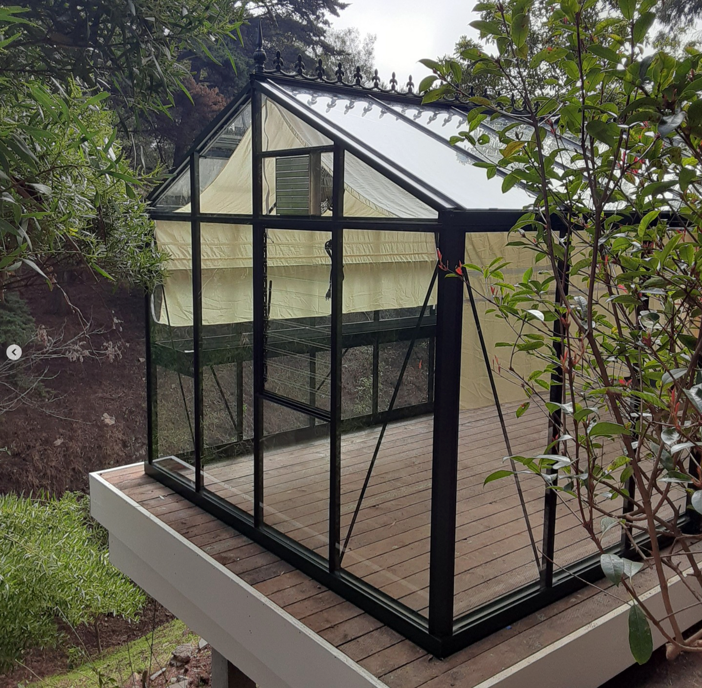 10'x15' Royal Victorian Glass Greenhouse (VI34)