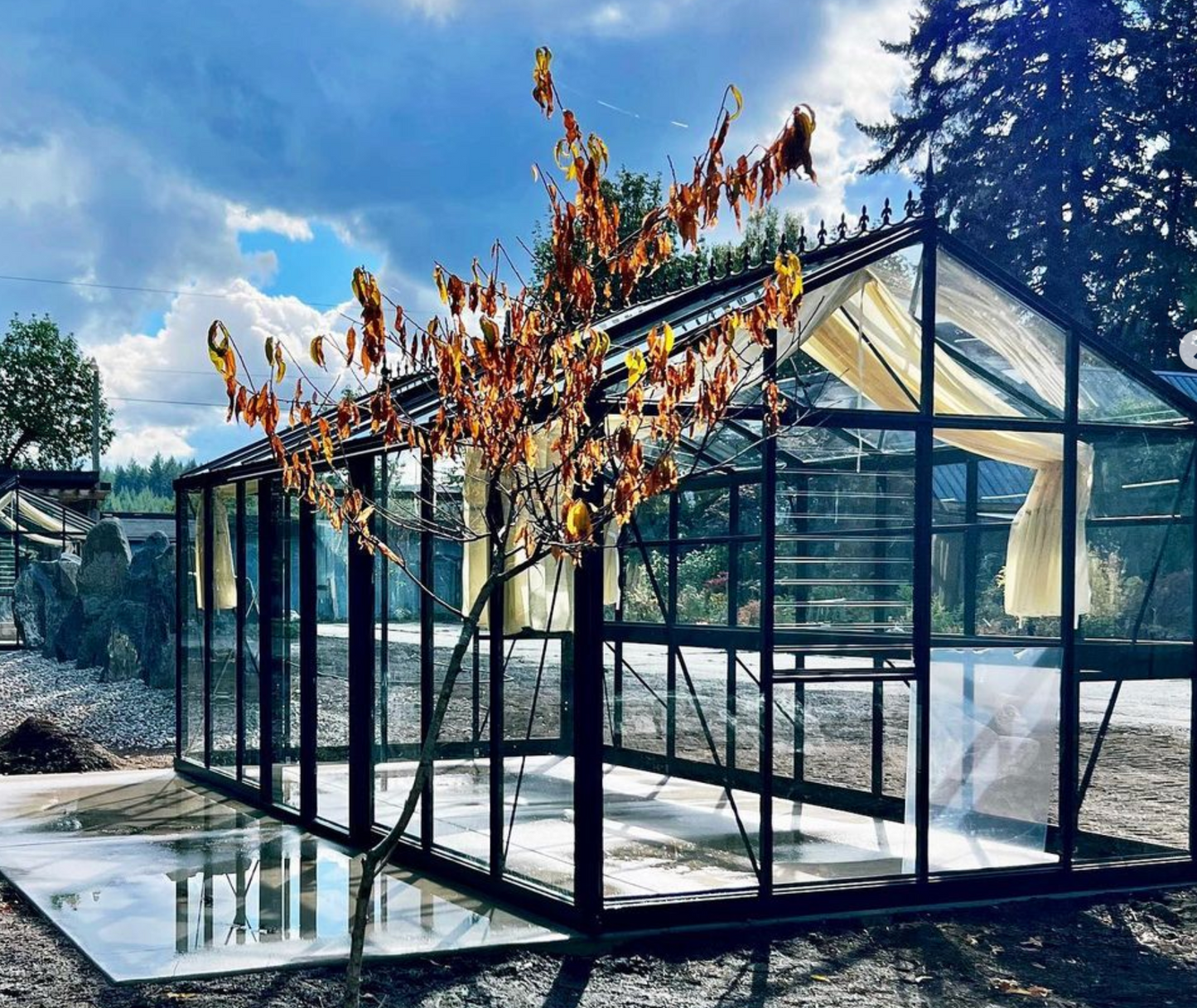 10'x20' Royal Victorian Glass Greenhouse (VI36)