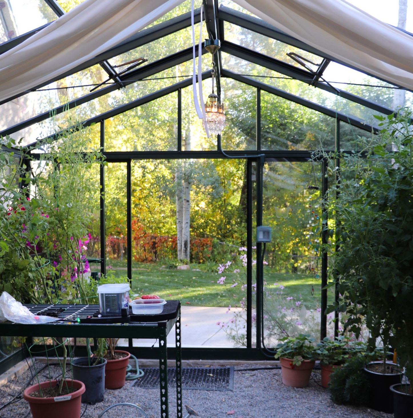 12'x20' Royal Victorian Glass Greenhouse (VI46)