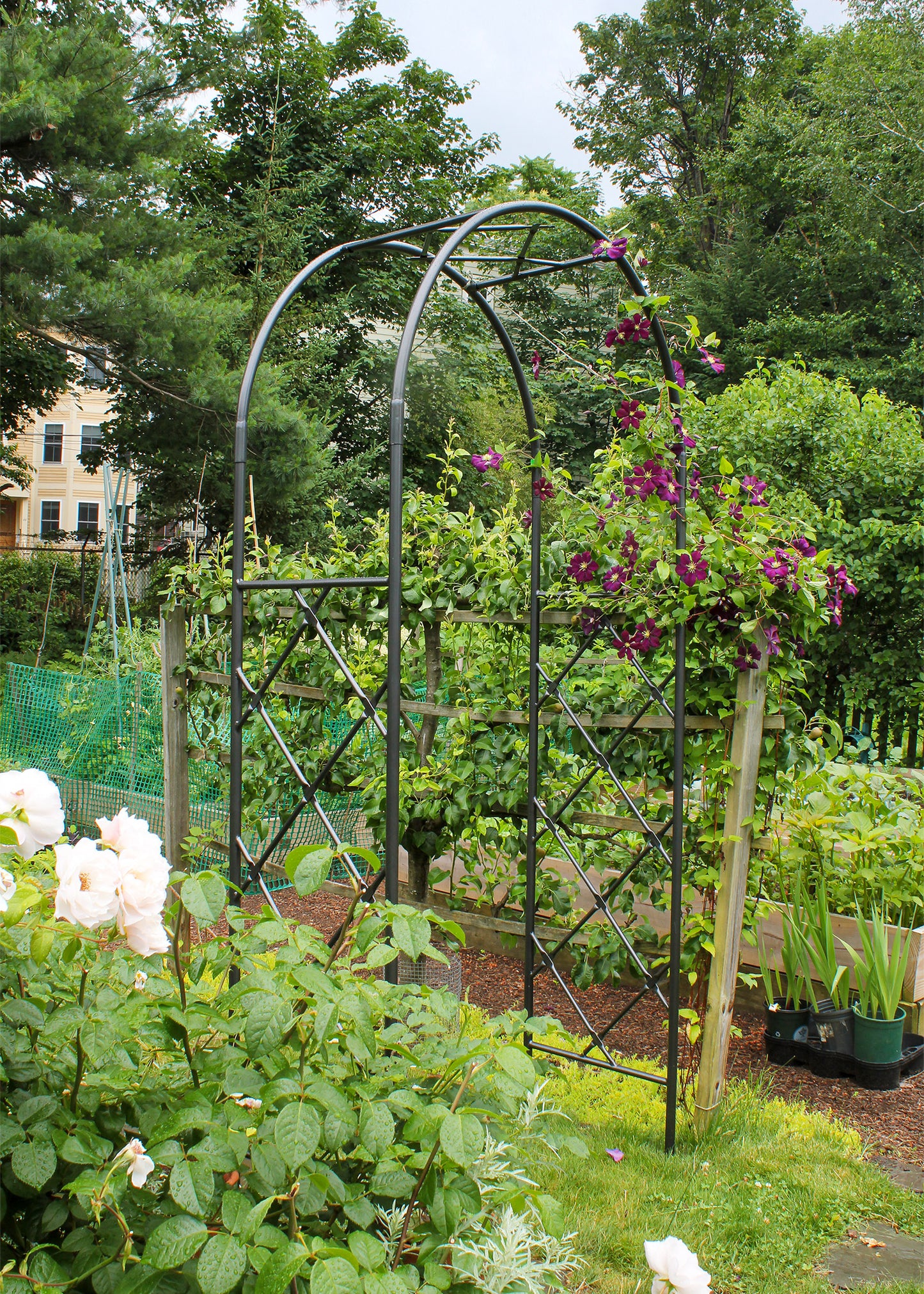 Lattice Iron Arbor