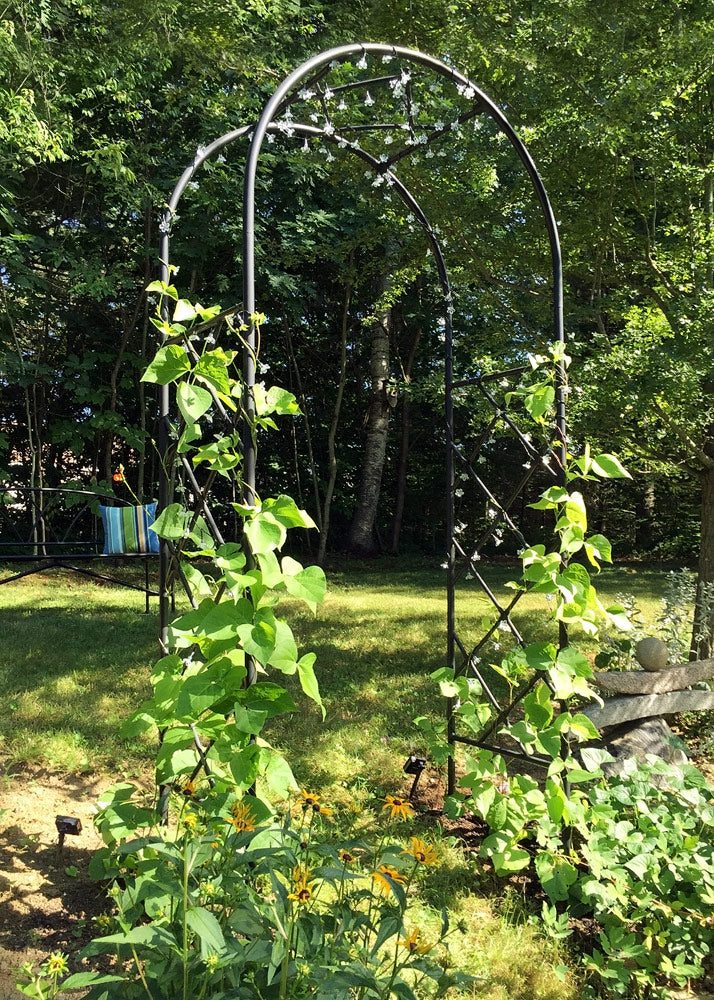 Lattice Iron Arbor