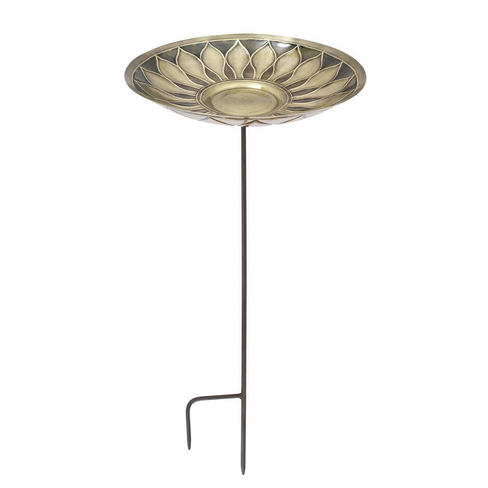African Daisy Brass Birdbath