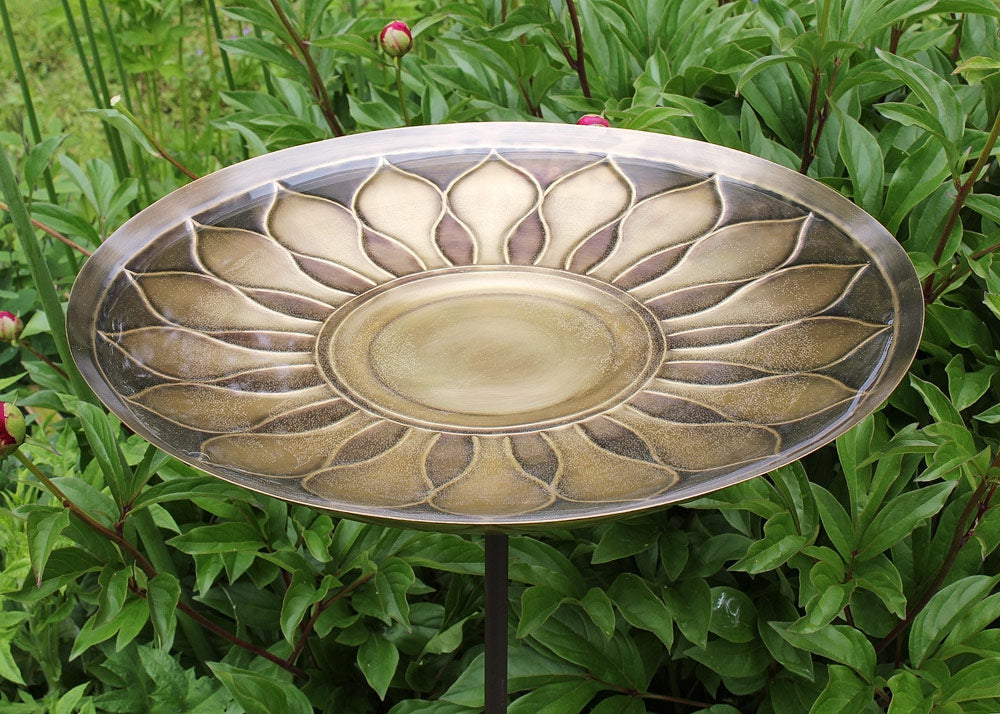 African Daisy Brass Birdbath