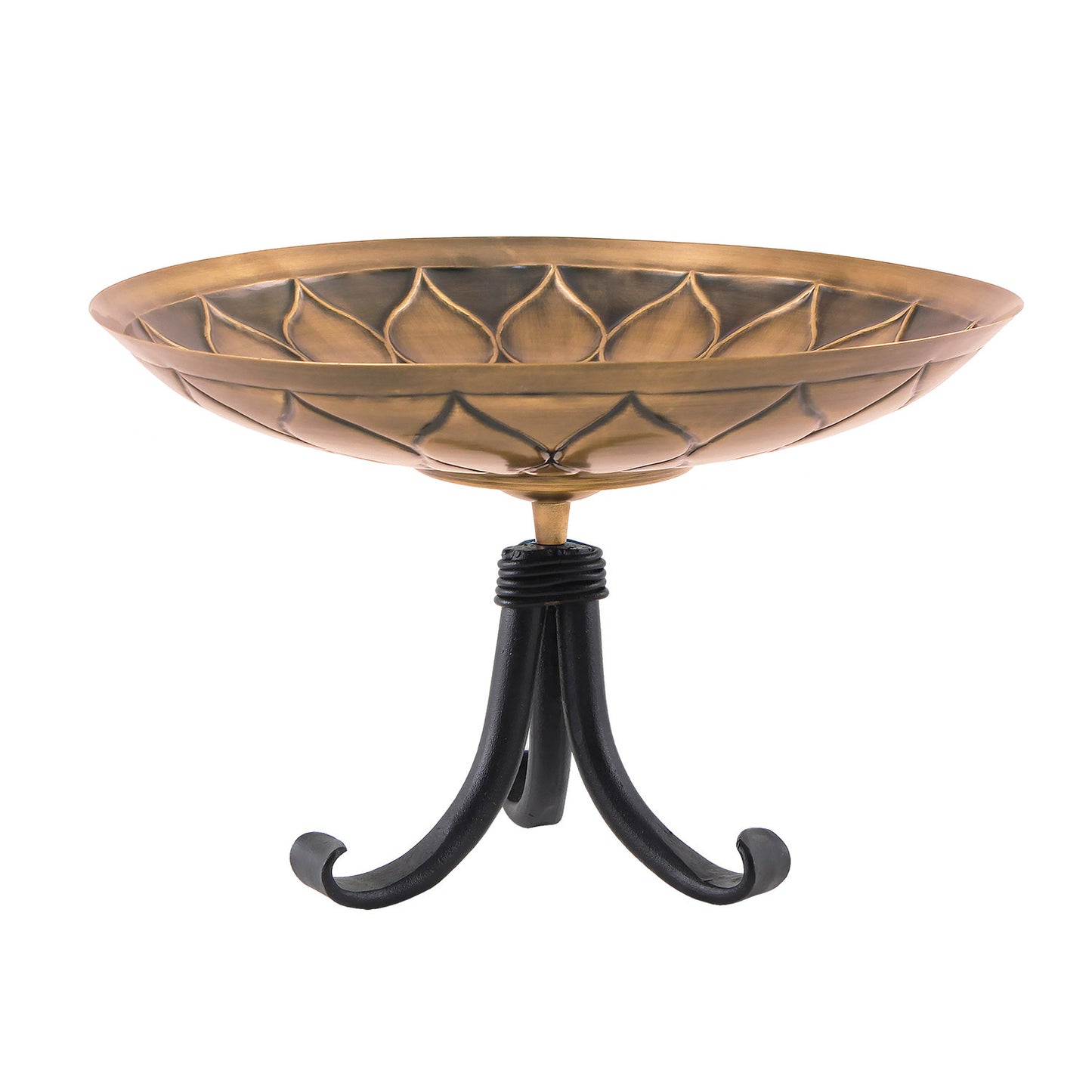 African Daisy Brass Birdbath