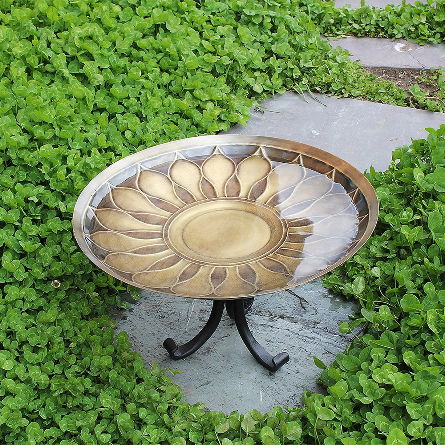 African Daisy Brass Birdbath