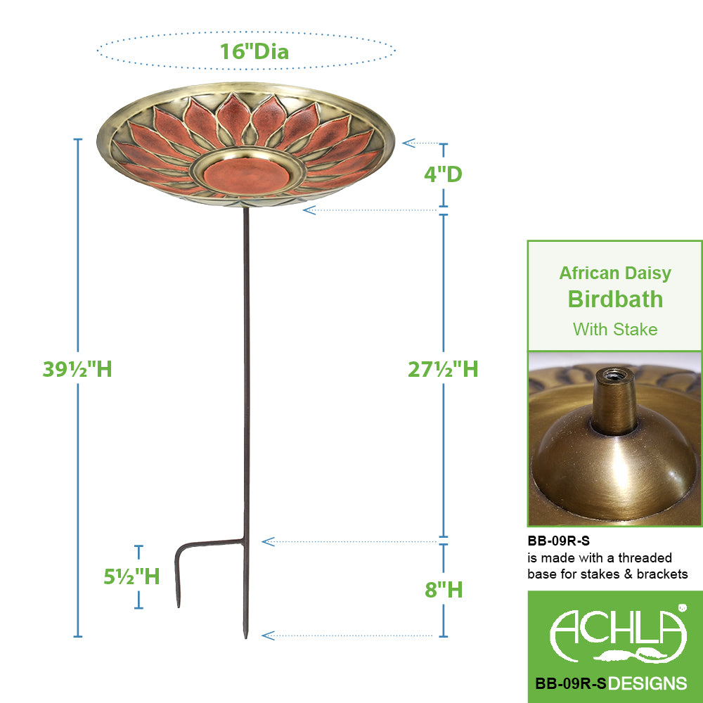Red African Daisy Brass Birdbath