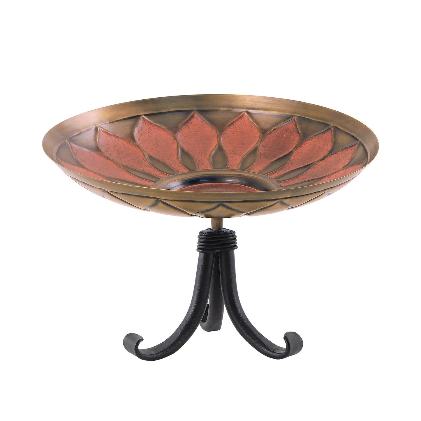 Red African Daisy Brass Birdbath