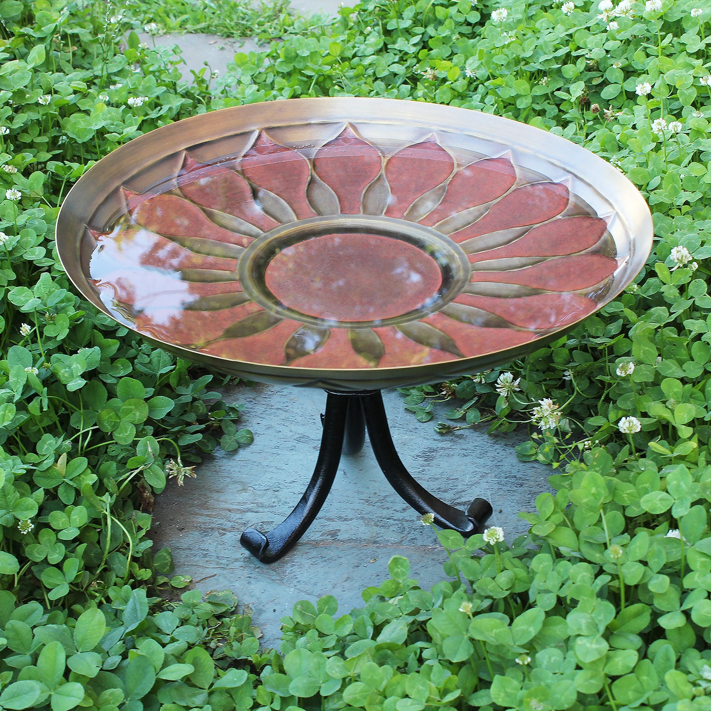 Red African Daisy Brass Birdbath
