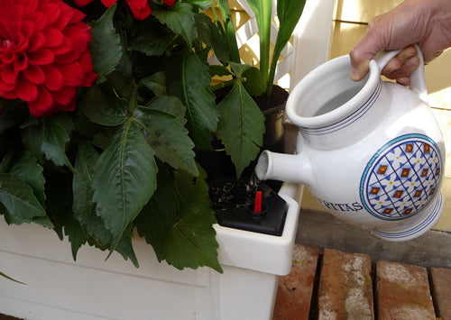 Calypso Planter with Trellis