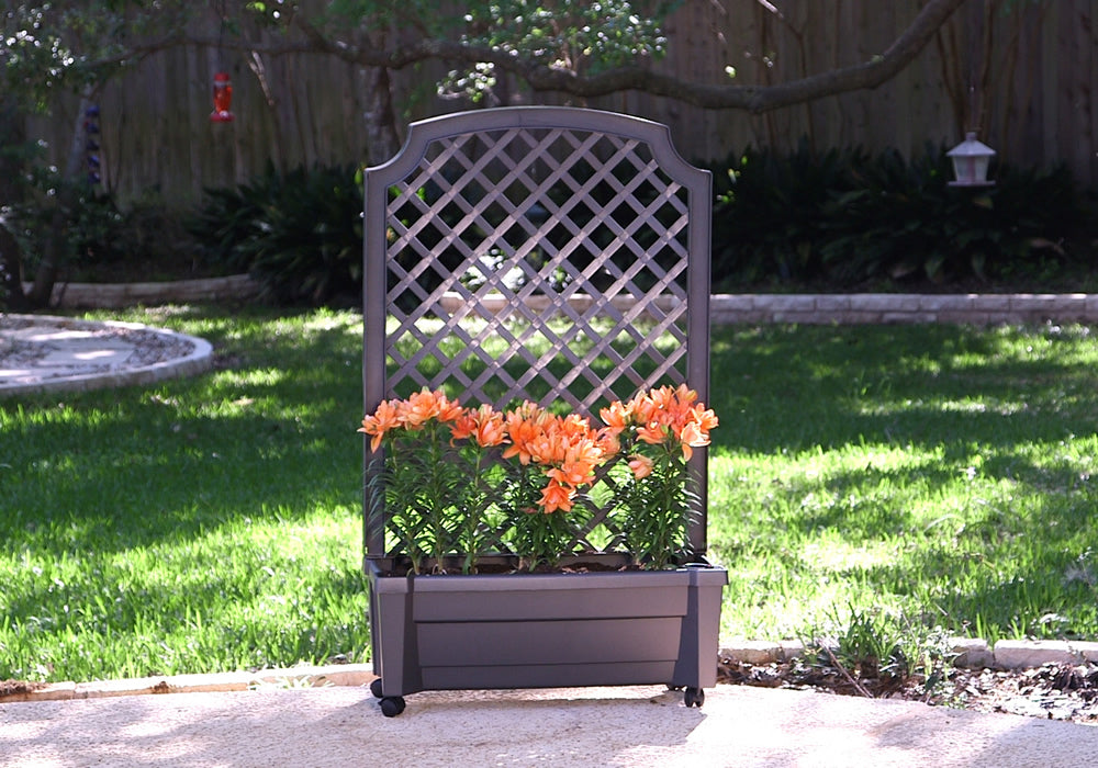 Calypso Planter with Trellis