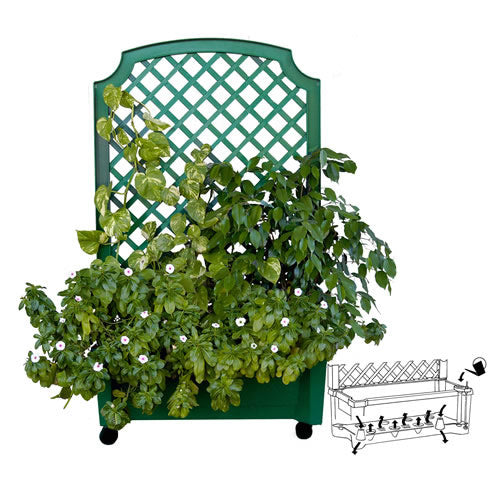 Calypso Planter with Trellis