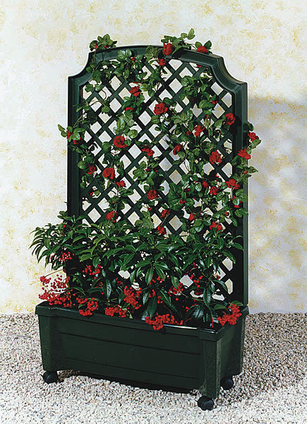 Calypso Planter with Trellis