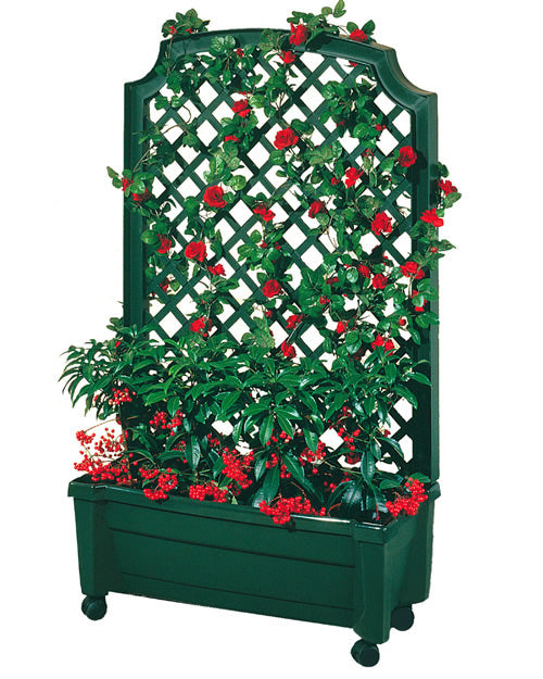 Calypso Planter with Trellis