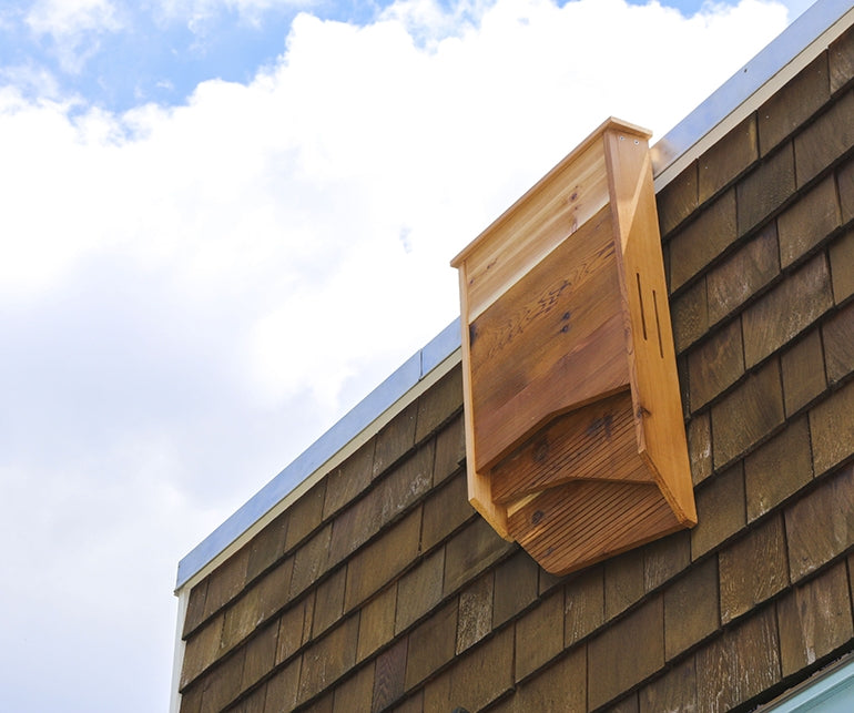 Carlsbad Bat House