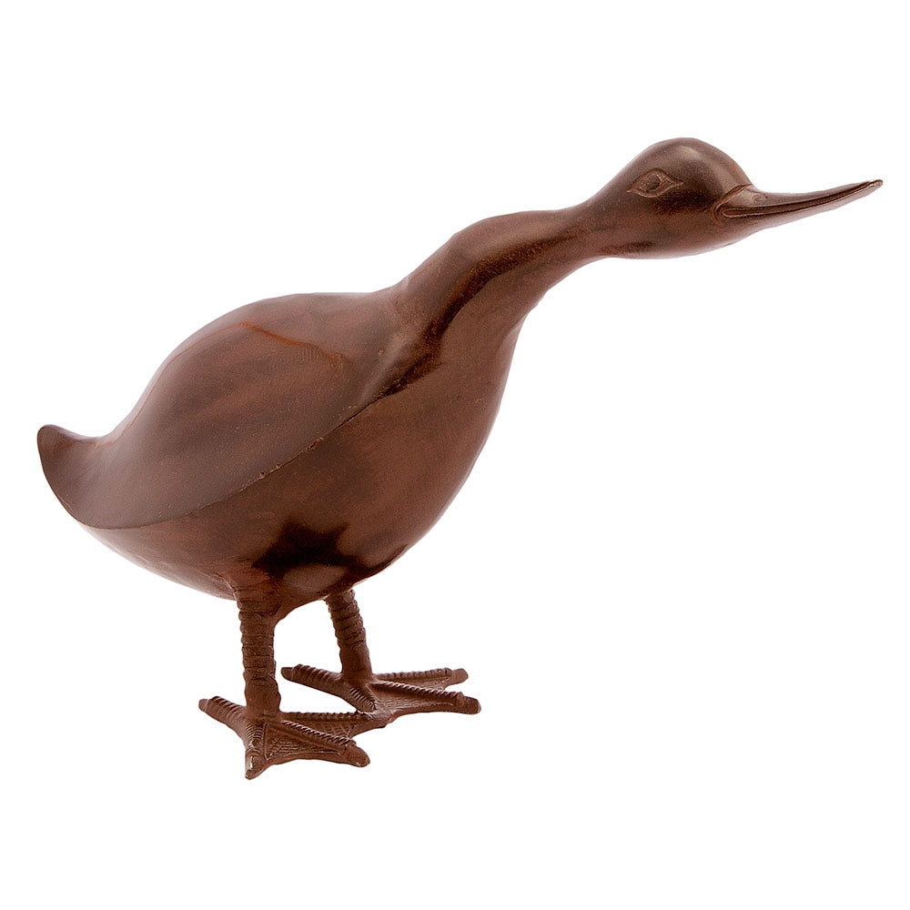 Bronze Duck Family
