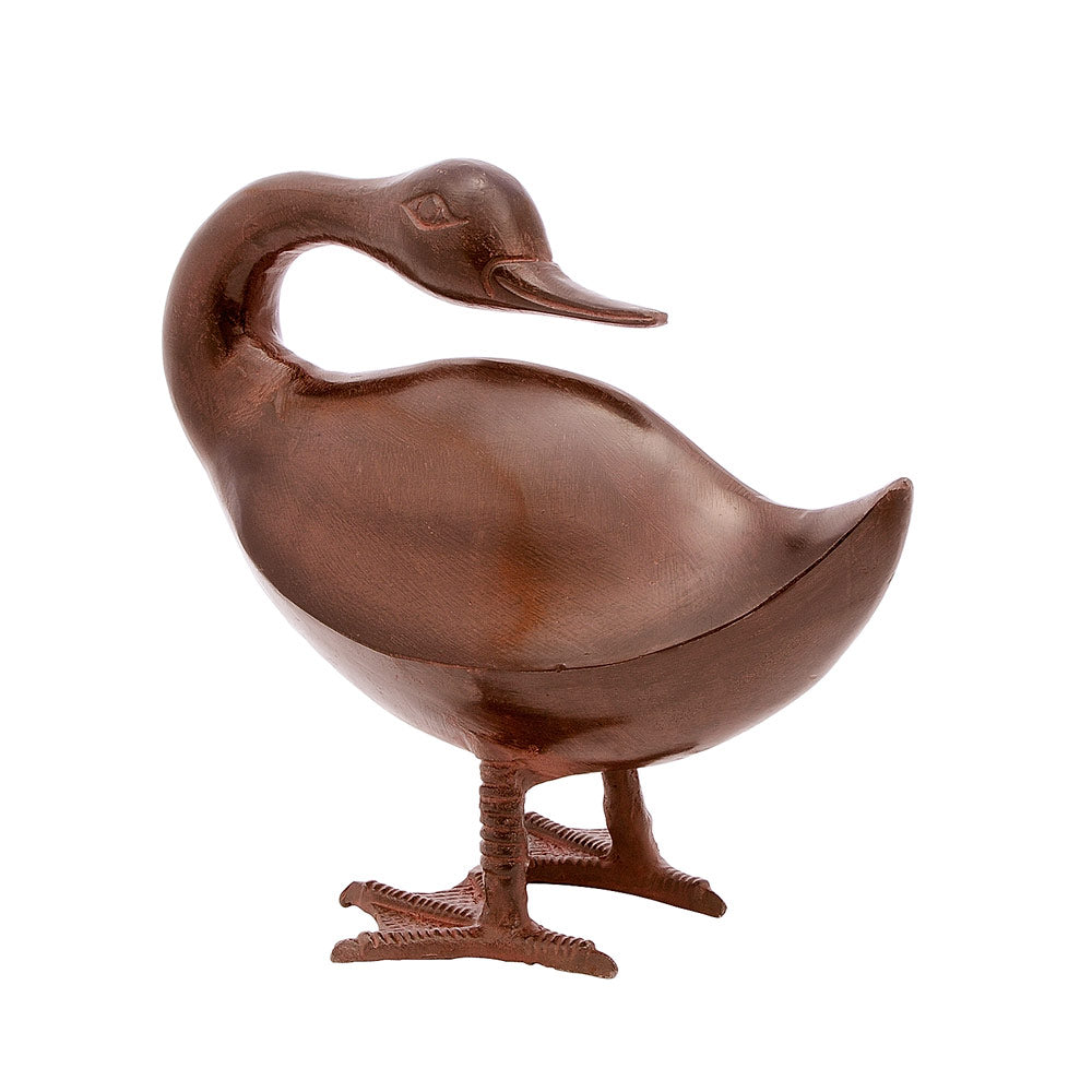 Bronze Duck Family