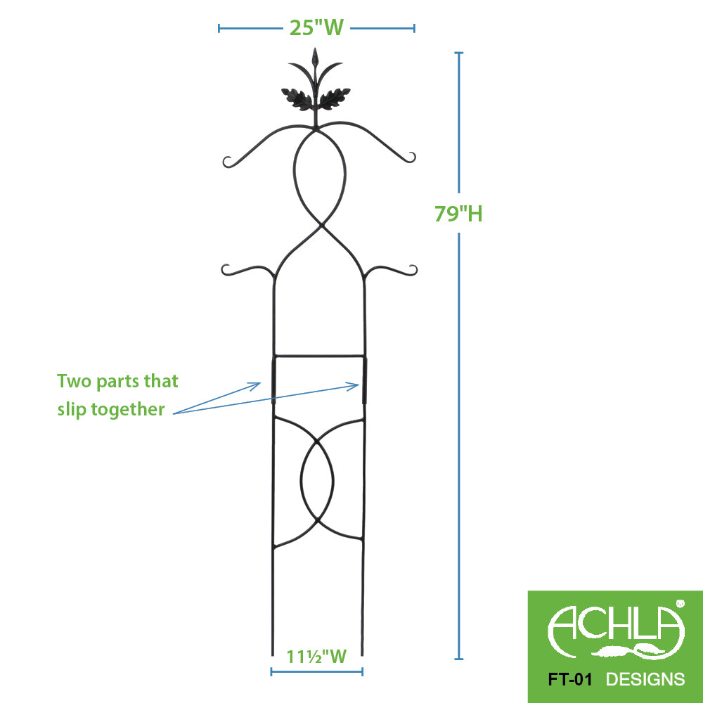 Tendrils Trellis