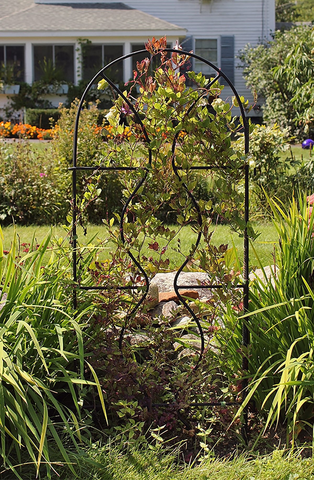 Orangerie Trellis