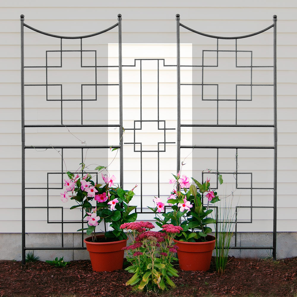 Squares Trellis