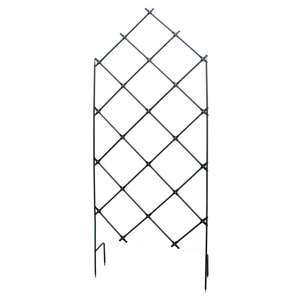 Freestanding Lattice Trellis