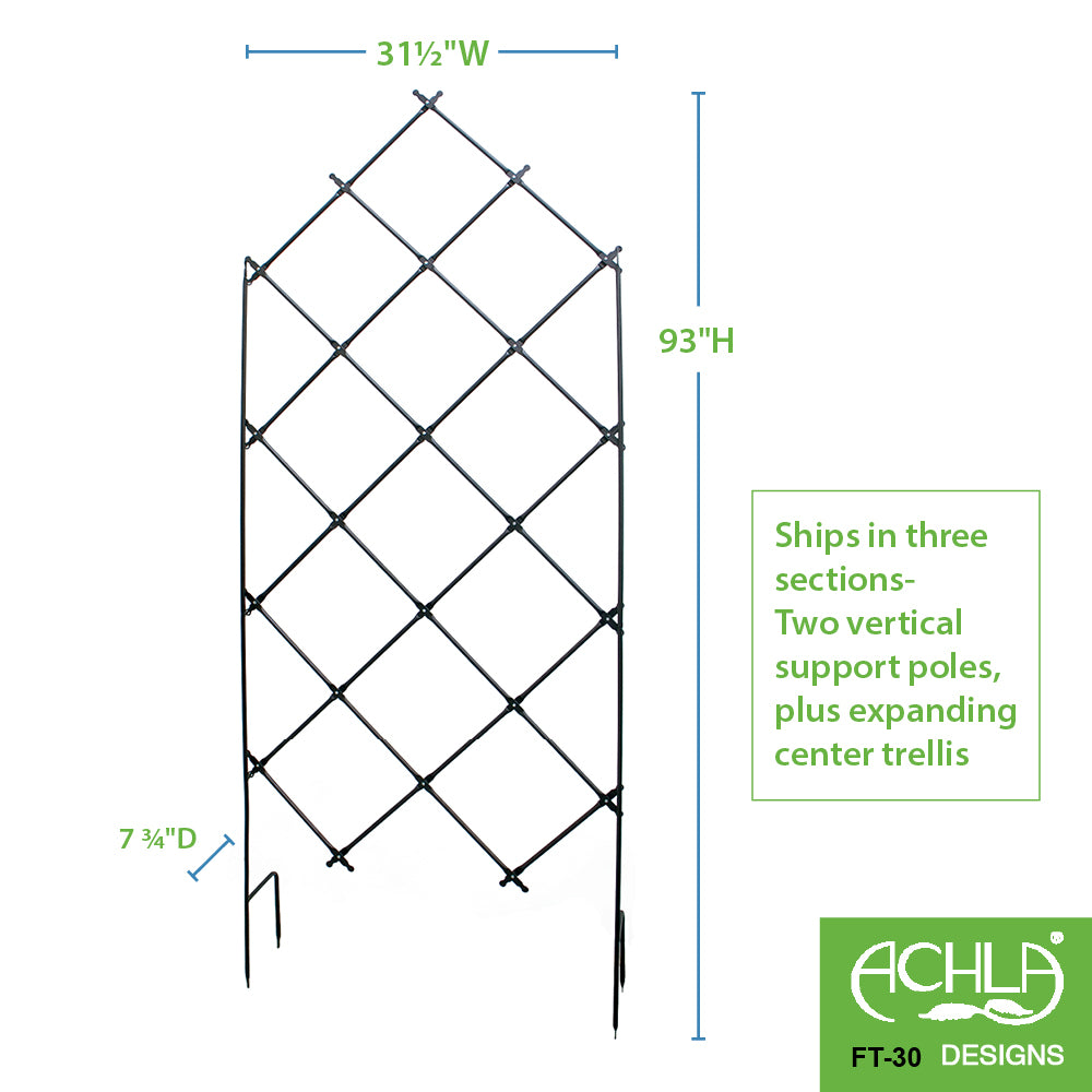 Freestanding Lattice Trellis