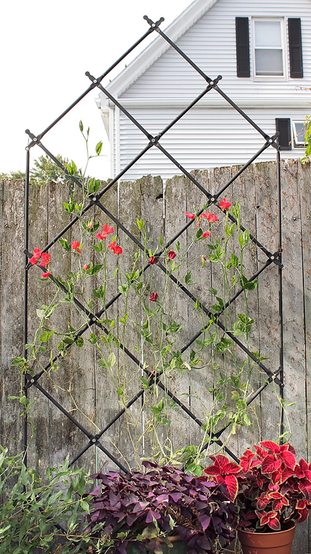 free standing plant trellis Achla Lattice Trellis