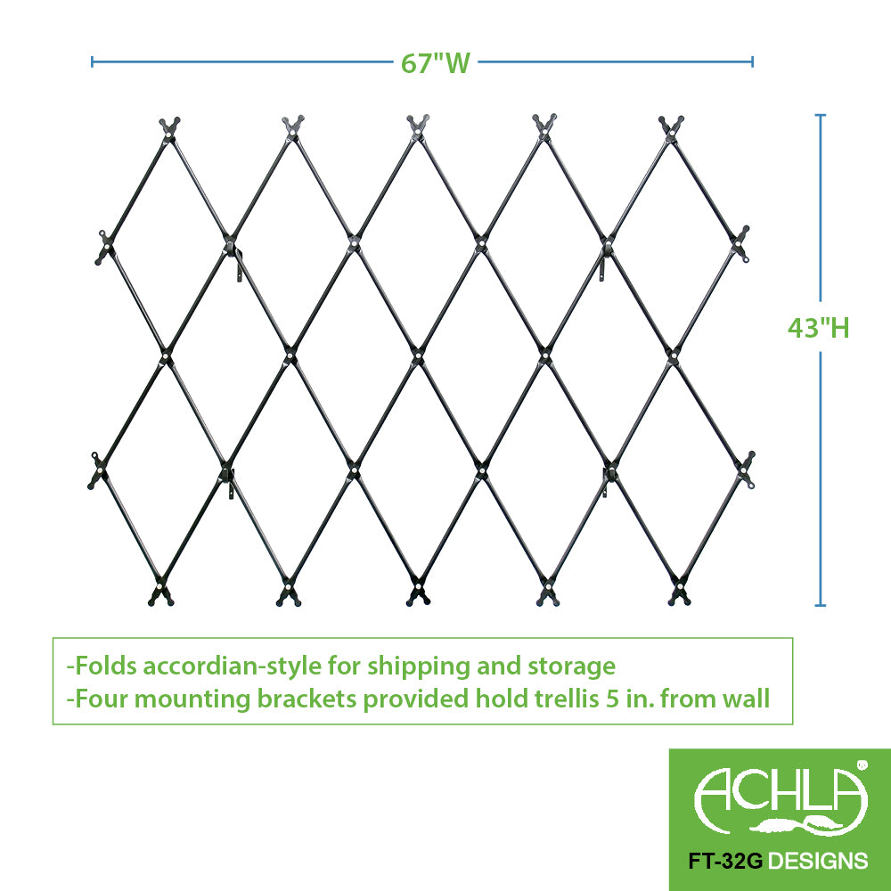 Wall Mounted Lattice Trellis