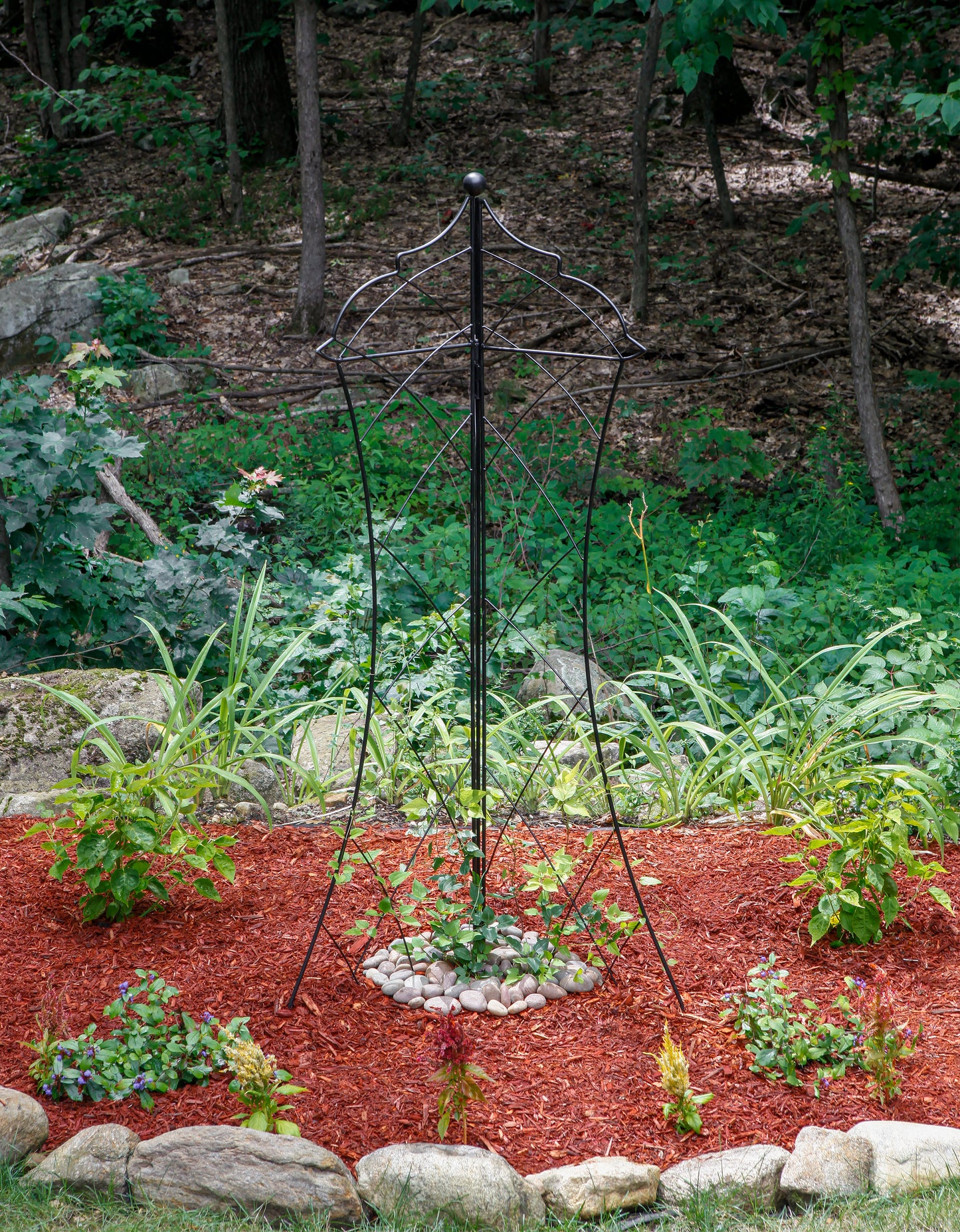 Chess Queen Trellis