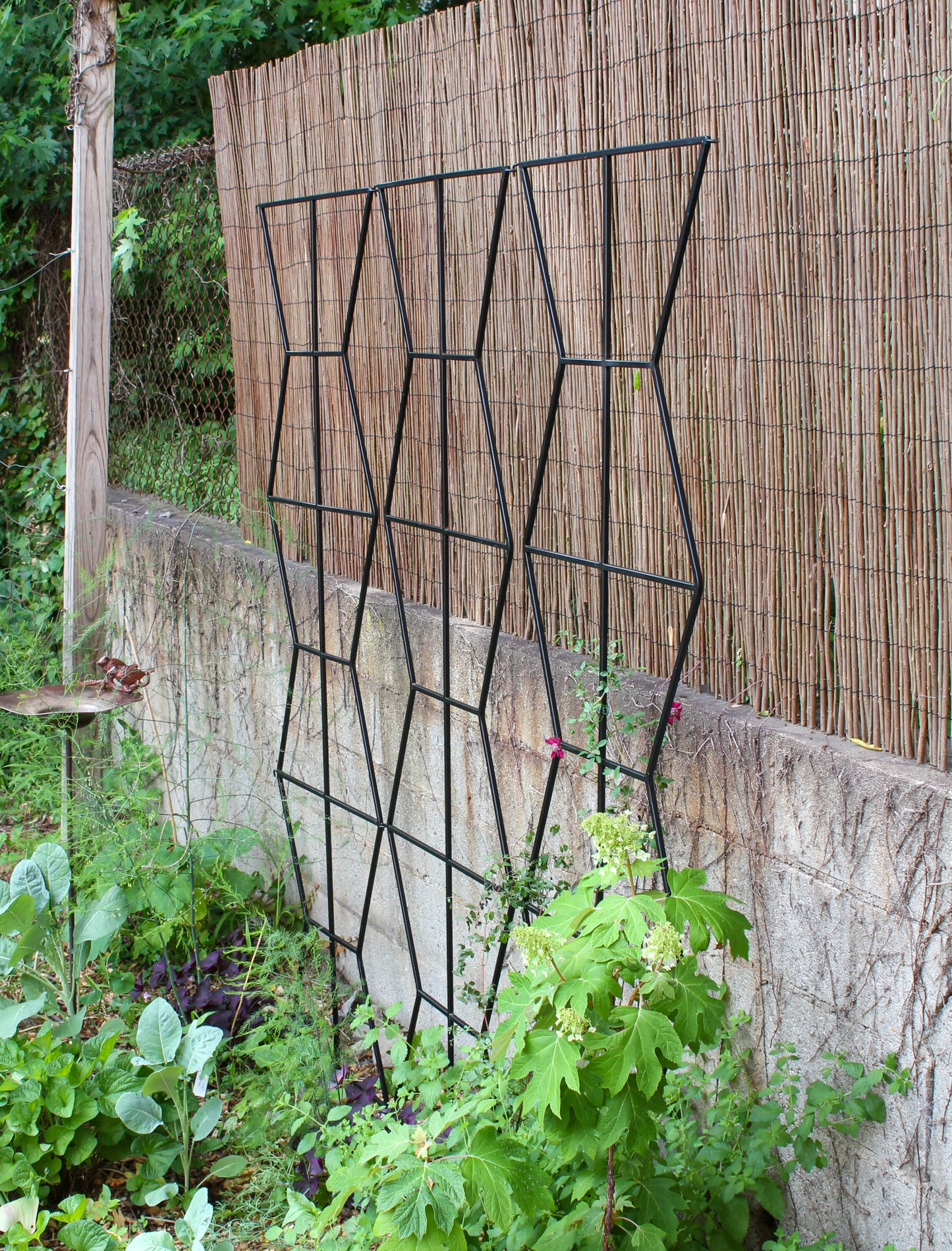 Zigzag Screen Trellis