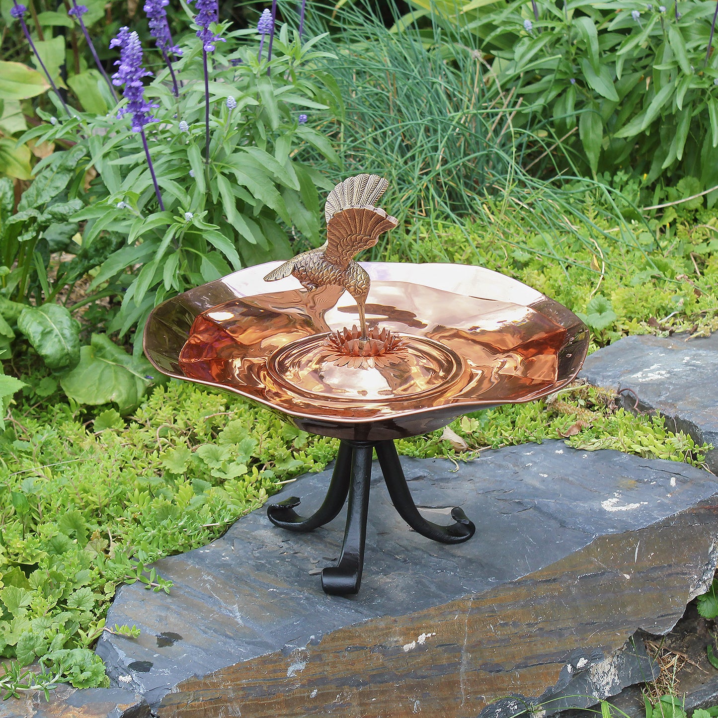 Hummingbird Birdbath