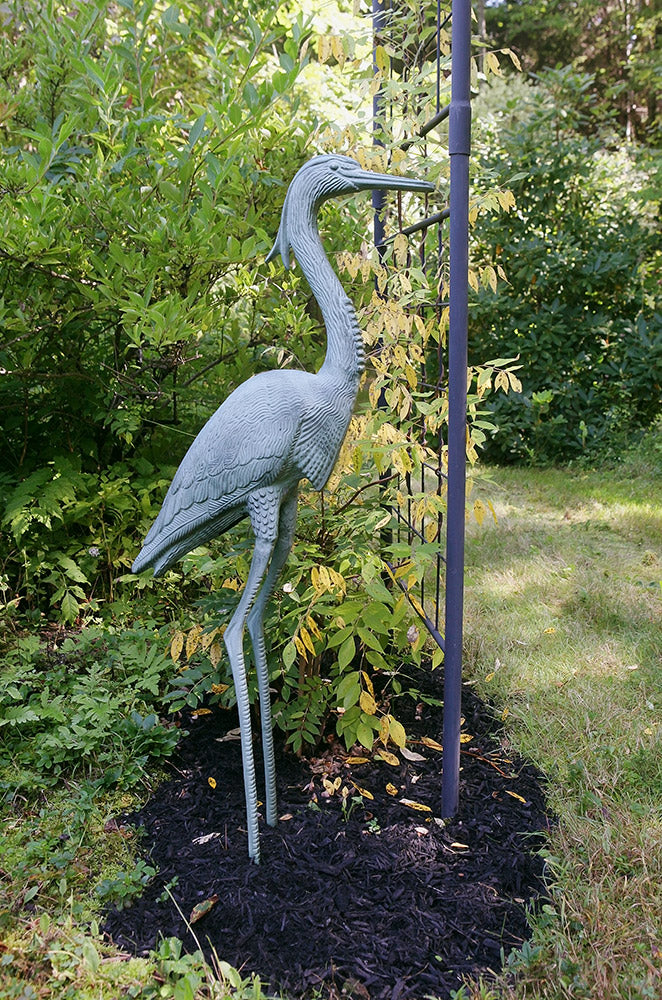 Stately Blue Heron Pair