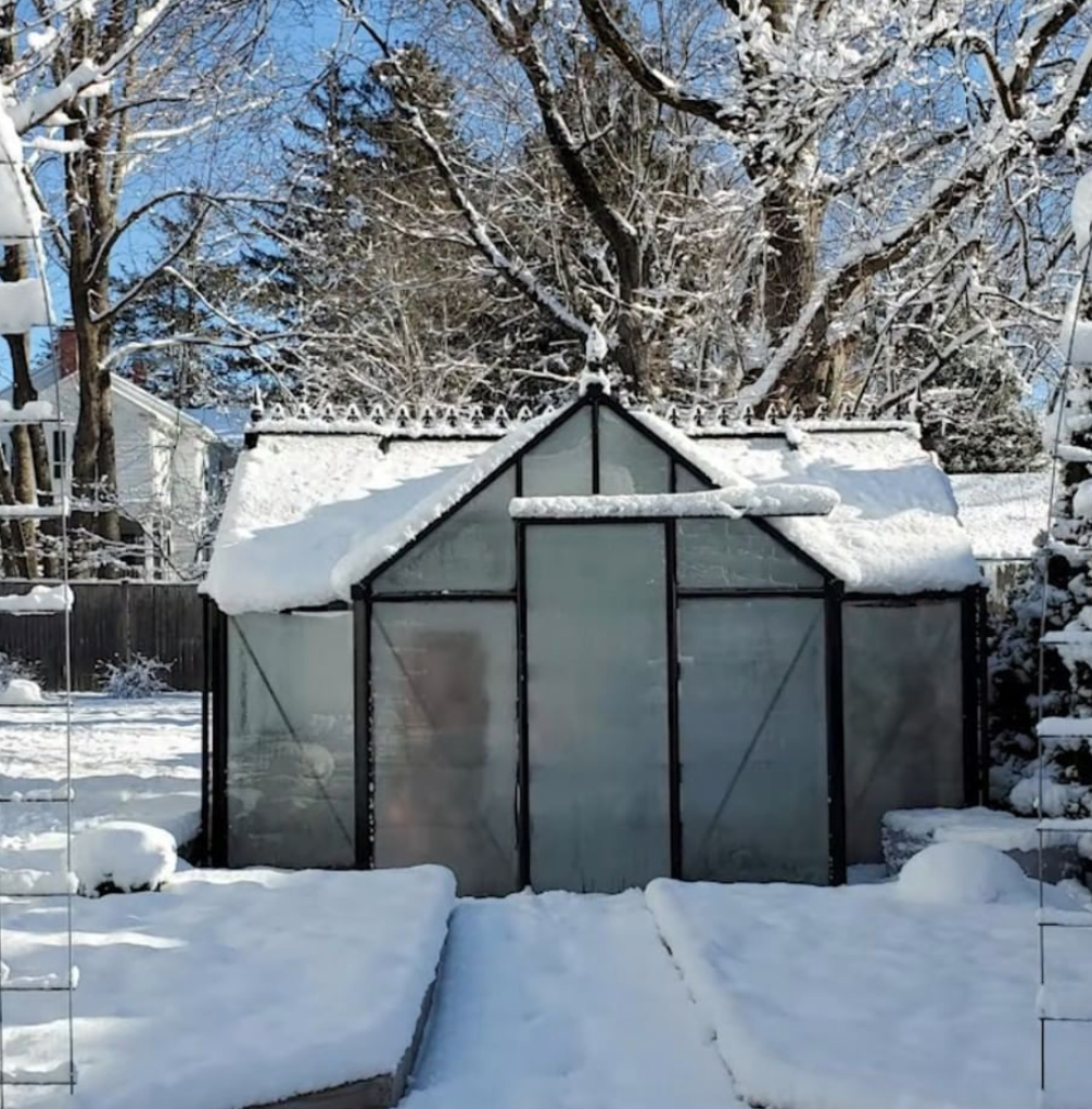 10'x13' Junior Orangerie Glass Greenhouse
