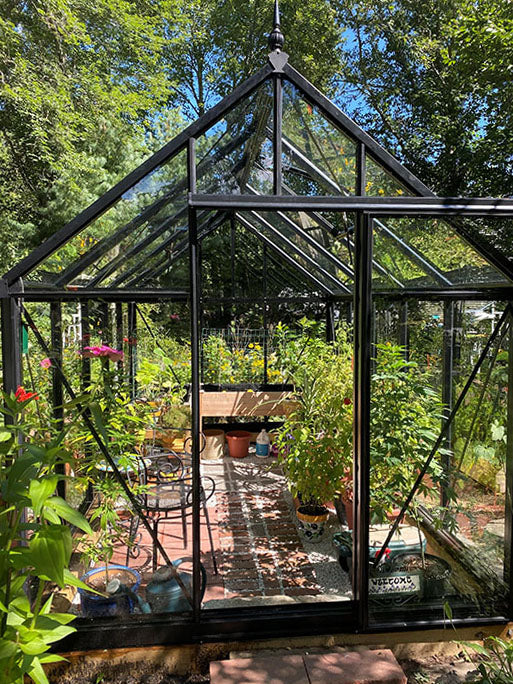 Junior Victorian Glass Greenhouse (3 Sizes)