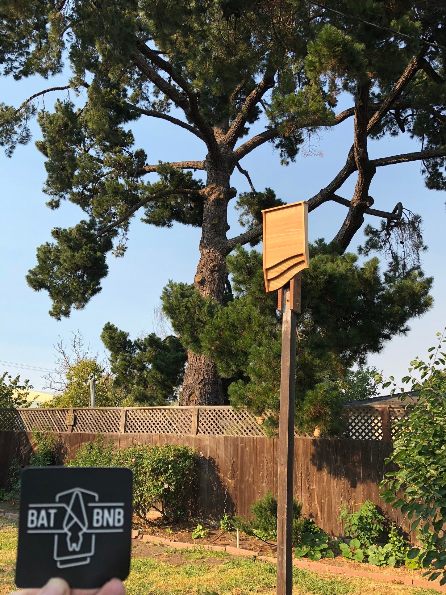 Seneca Bat House