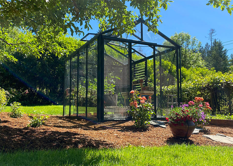 8'x10' Royal Victorian Glass Greenhouse (VI23)