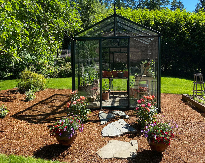 8'x10' Royal Victorian Glass Greenhouse (VI23)