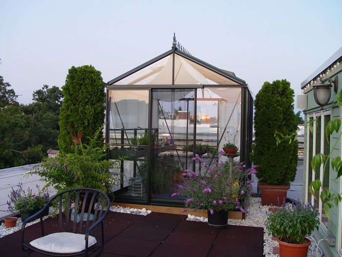 8'x10' Royal Victorian Glass Greenhouse (VI23)
