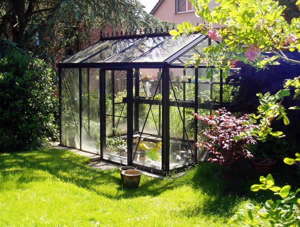 8'x10' Royal Victorian Glass Greenhouse (VI23)