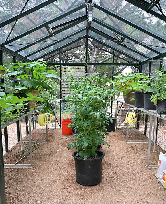10'x15' Royal Victorian Glass Greenhouse (VI34)