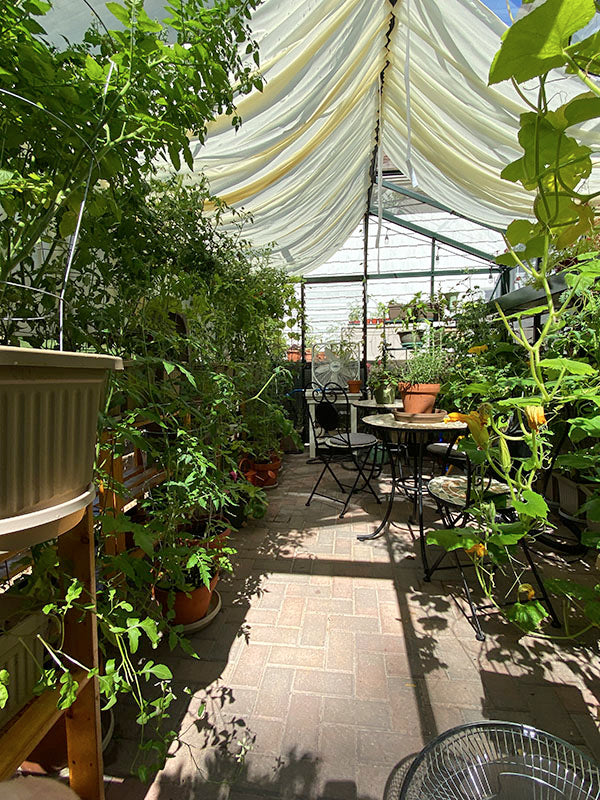 10'x15' Royal Victorian Glass Greenhouse (VI34)