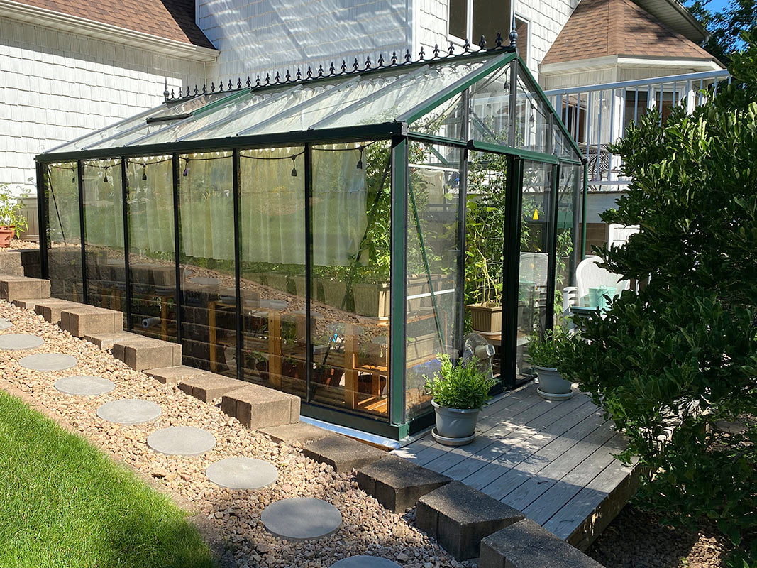 10'x15' Royal Victorian Glass Greenhouse (VI34)