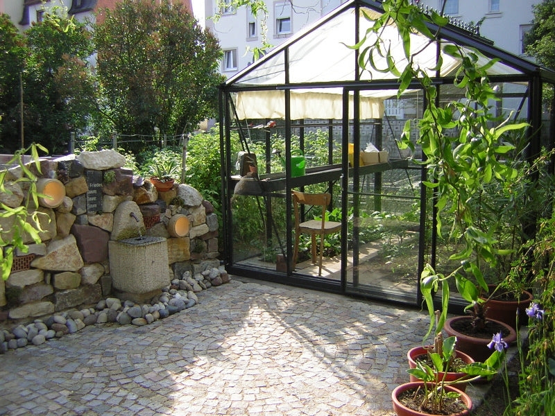 10'x15' Royal Victorian Glass Greenhouse (VI34)