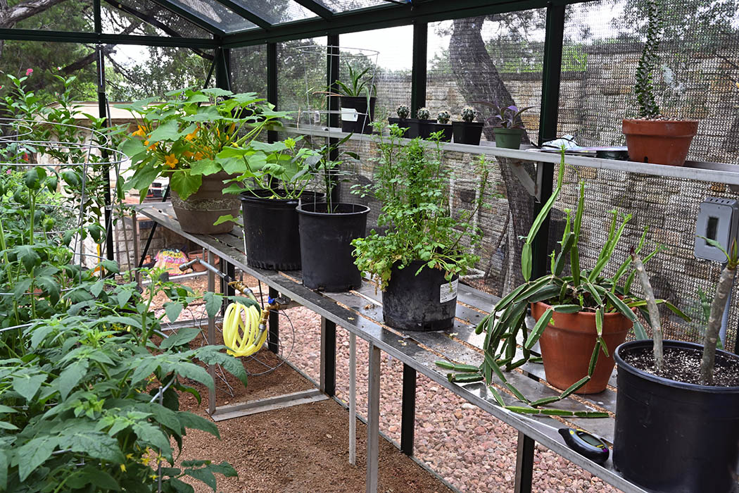 10'x15' Royal Victorian Glass Greenhouse (VI34)