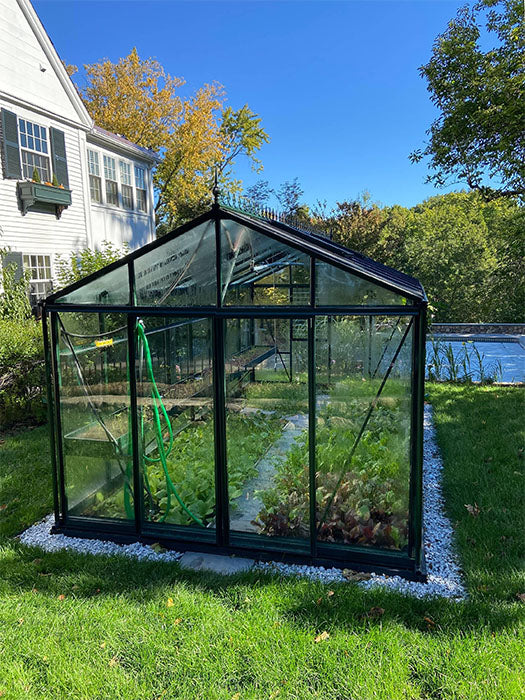 10'x20' Royal Victorian Glass Greenhouse (VI36)