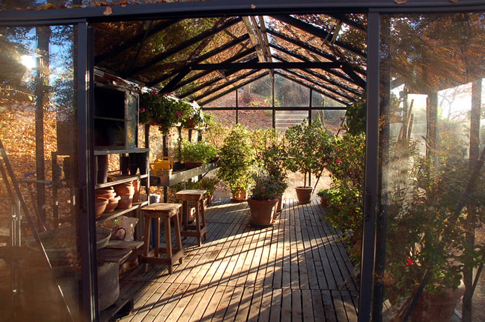 10'x20' Royal Victorian Glass Greenhouse (VI36)