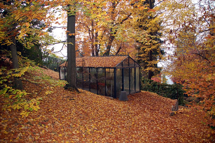 10'x20' Royal Victorian Glass Greenhouse (VI36)