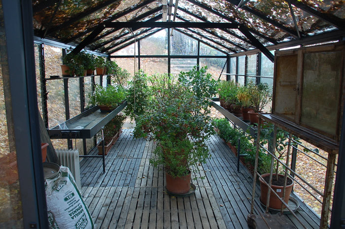 10'x20' Royal Victorian Glass Greenhouse (VI36)